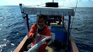 Ultra light jigging Laut Aceh