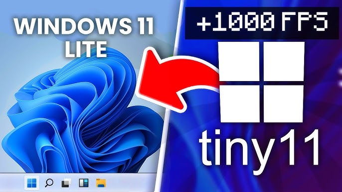 Tiny11 - Download