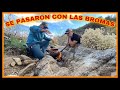 AVENTURA NÚMERO 337 NADA MEJOR QUE UN TE DE GORDOLOBO EN LAS MONTAÑAS PERO ESTOS CHICOS PURAS BROMAS