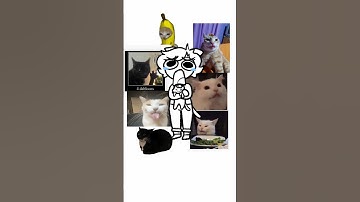 Don’t talk to me or my sons EVER AGAIN #shorts #animation #digitalart #cats #animatic