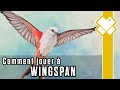 Wingspan  explications  des rgles pour prendre son envol