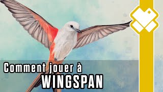Wingspan : Explications  des règles pour prendre son envol