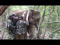 GPS Collars keep track of wild elephants !