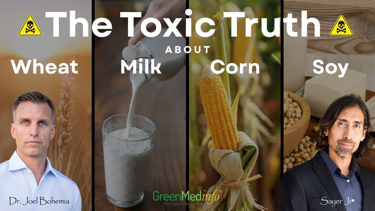Токсичная правда о пшенице, молочных продуктах, кукурузе и сое.