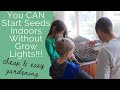 You CAN Start Seeds Indoors Without Grow Lights | Simple and Cheap Methods for Starting Your Garden