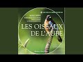 Au carnaval des oiseaux