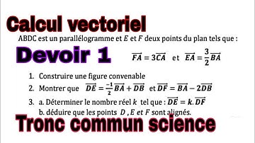 Calcul vectoriel tronc commun science , exercice d