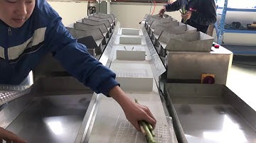 Smart Weigh-LC12 Asparagus Tipper Hopper Linear Combination Weigher