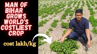 Costliest crop "HOP SHOOT" grown by a man of Bihar . Full process screenshot 5