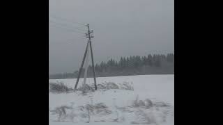Сергиево-Посадский район, Ярославское шоссе (по пути в Углич) (05.01.21)