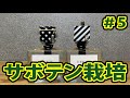 【植物栽培】サボテン ＃５ (Cactus)
