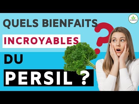 Vidéo: A Quoi Sert Le Persil ?