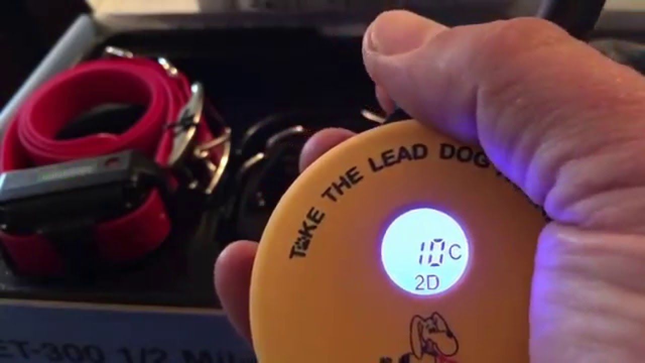 mini educator 2 dog system