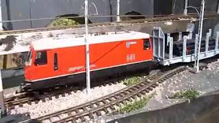 G Scale Society 3 Counties Group Member Bls Layout