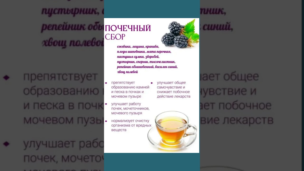 Почечный сбор #полезныесоветы #полезнознать #здоровье #польза