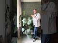 Intratuin - PlantEHBO - Planten draaien