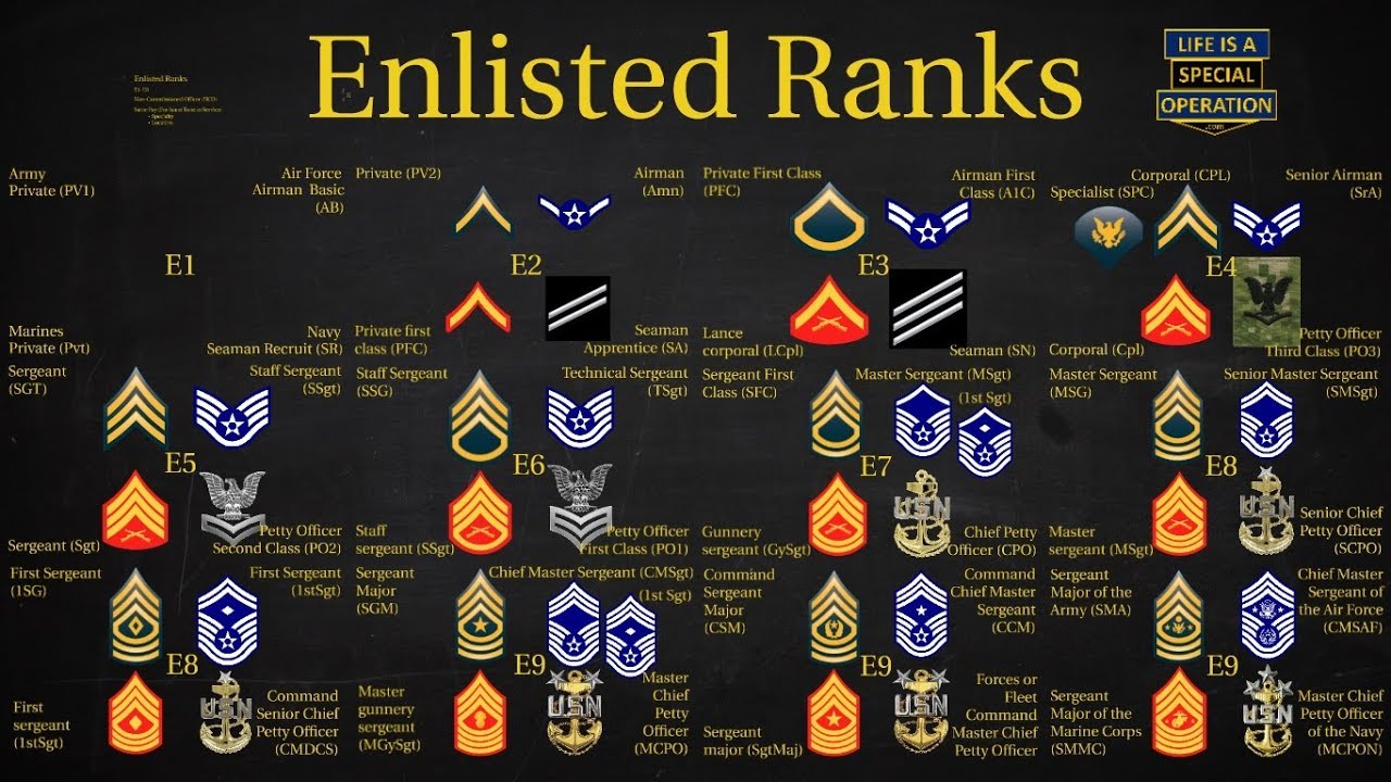 Enlisted Army Ranks Army Enlisted Rank Insignia Stock Vector