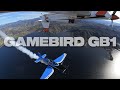 Flying formation with a gamebird gb1  edge 540
