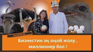 Төө Куш багып, миллионер болсо болот !