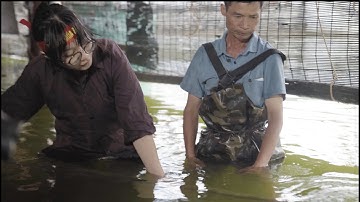 Trải nghiệm làng múa rối nước Đào Thục Tập 2 #WaterPuppetry