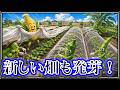 【発芽】オNEW畑５畝を不織布から防虫ネットへ！
