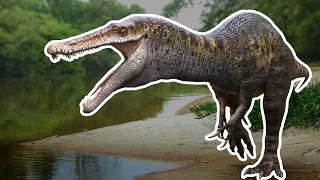 A Huge Spinosaur That Thought Crocs Did It Better