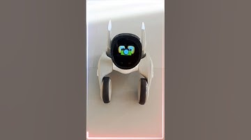 OMG Loona ai robot dog knows what I look like #loona #robot #robotdog #shorts #new #ai #viral #gpt