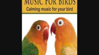 Music For Birds - Calming Music for your Bird screenshot 5
