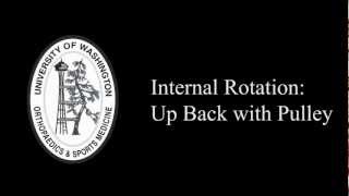 Internal Rotation Up Back