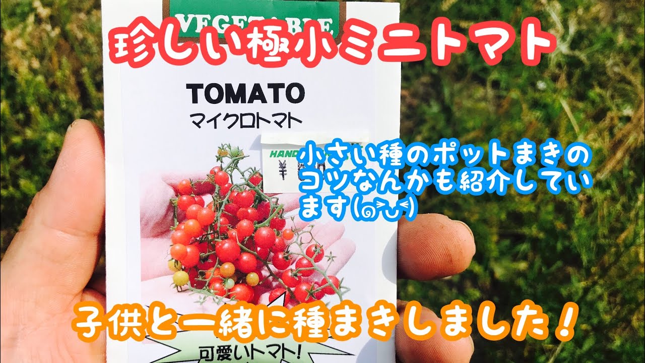 Home Gardening Video: 