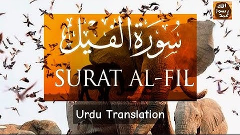 Surah Al-Fil (The Elephant) سورة الفيل | Suratul fil Urdu Translation | Quran surah 105