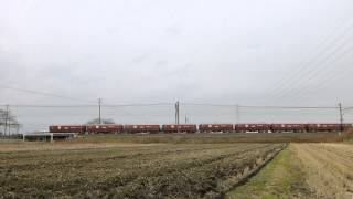 JR貨物　東海道本線　8784レ　EF64-1004号機　2014.12.31