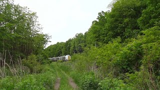 【根室本線】JR北海道キハ261系特急おおぞら5号が初夏のinカーブ走る