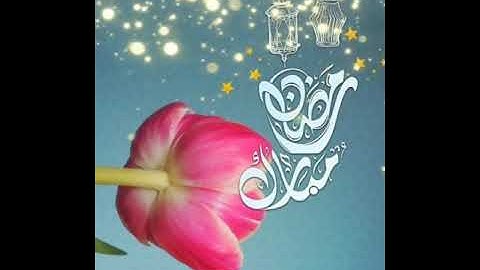 شهر رمضان الذي انزل فيه القران ( للشيخ خالد الجليل) تلاوه خاشعه