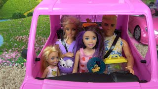 Barbie and Ken at Barbie Dream House: Barbie Getting Ready to Take Her Bunny Pet to Vet