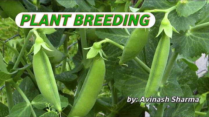 Which of the following is not involved in classical plant breeding practices? (2023)