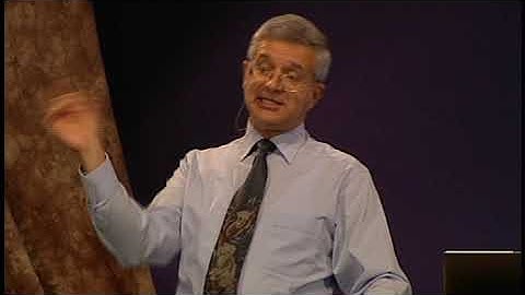 Creation Library Series - Rock Strata, Fossils, and the Flood