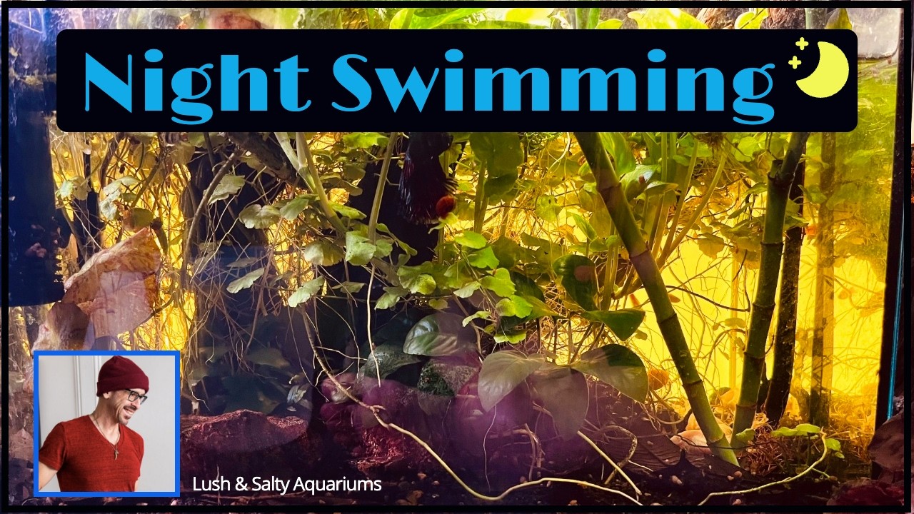 Nocturnal Emissions from the Fish Room!