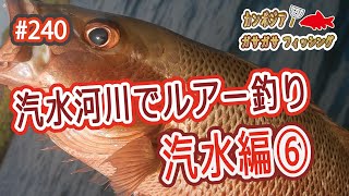 汽水河川でルアー釣り　汽水編⑥マングローブジャック（ゴマフエダイ） Brackish Water Fishing in Cambodia