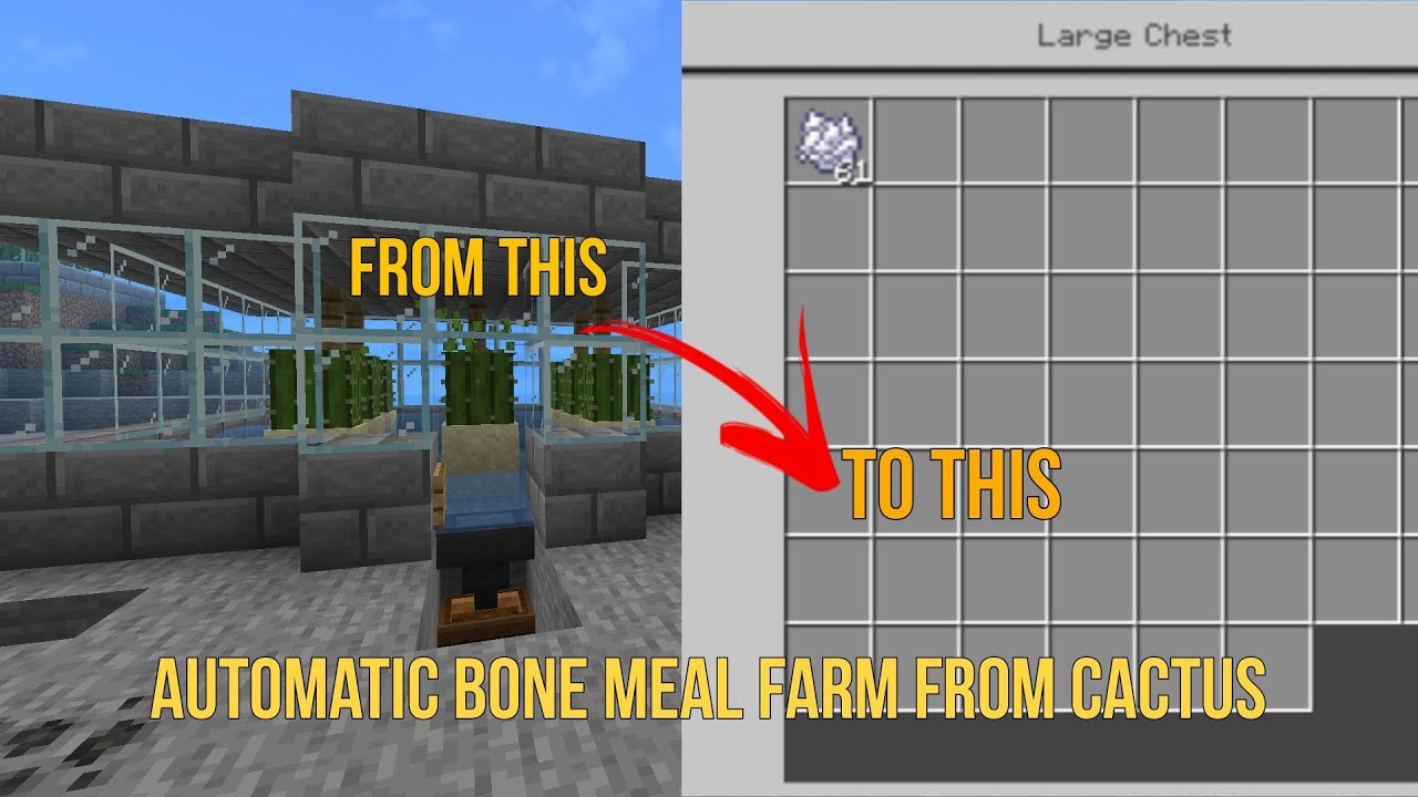 Automatic Bone Meal Farm From Cactus (Minecraft Bedrock 1.20+) - YouTube