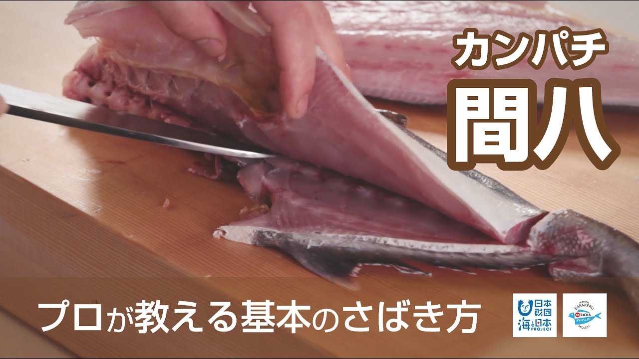 間八 かんぱち のさばき方 How To Filet Greater Amberjack 日本さばけるプロジェクト Youtube