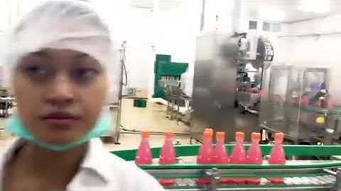 Complete Full Automatic fresh Fruit Juice Processing Line / Drink Production Line /Filling Machine
