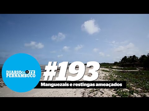 Vídeo: Fidelidade Do Local E Estrutura Populacional De Siris-azuis (Cardisoma Guanhumi Latreille, 1825) Em Uma área De Mangue De Acesso Restrito, Analisada Usando Tags PIT