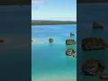 PIPA Marine Reserve Bigger Than Germany Nature OceanFacts Shorts Shortsviral Pipa