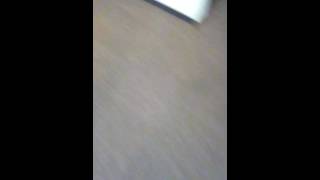 Je Fais Peur À Ma Soeur Chez Mon Pere.