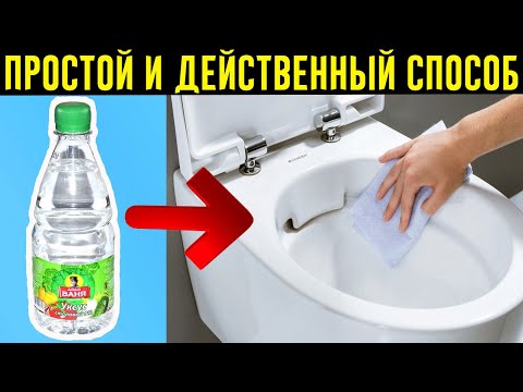 Она Залила В Туалетный Бачок Уксус! Только Посмотрите, Что Произошло, Когда Она Смыла!