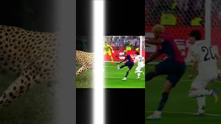 please like . Danger Players in Football History