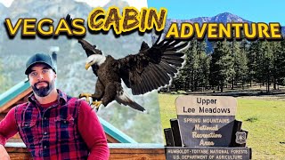 Famous Exploring the cabins at Mt Charleston and why you need this adventure now! Net Worth