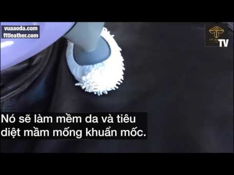 Áo da bị mốc - cách xử lý - FTT LEATHER | Foci
