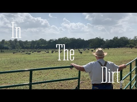 In The Jeep: Will Harris
